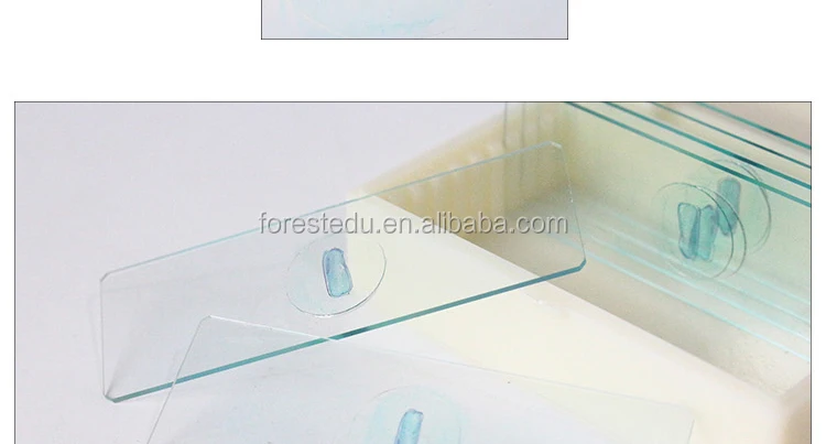 8 microscope slides 7101.jpg