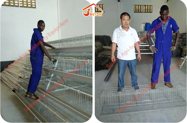 Poultry design layer chicken cages 128 layers per set