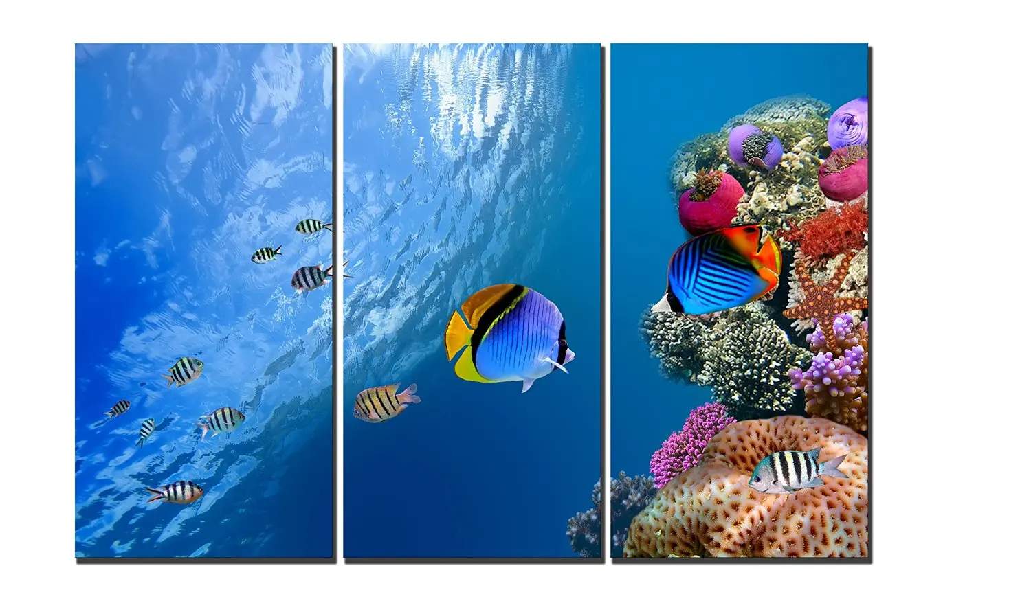 13+ Finest Fish prints wall art images information