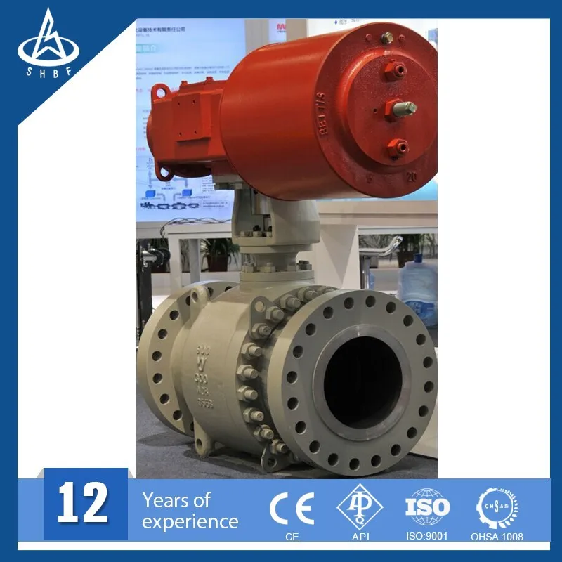 
China High Performance Ball Valve Manufacturer class 900 