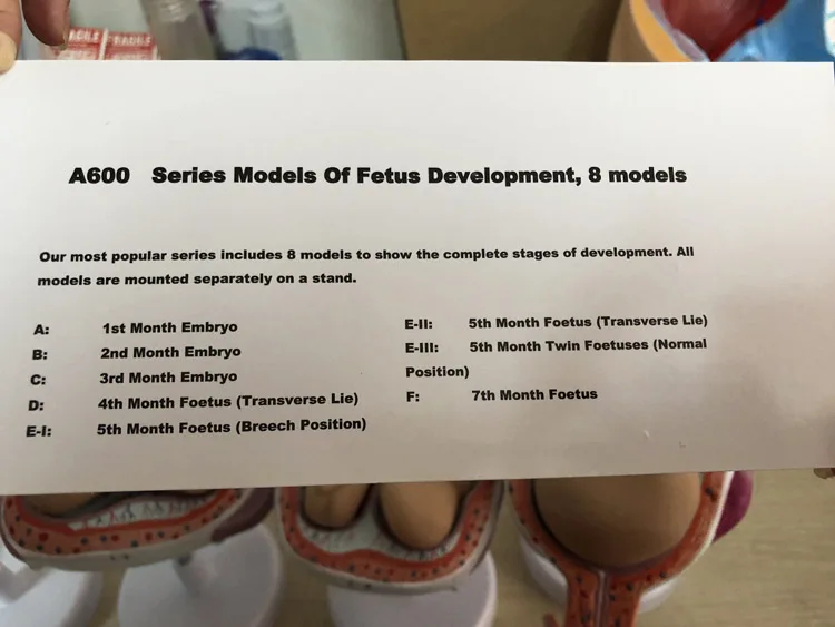 QQ20190122093953 .jpg