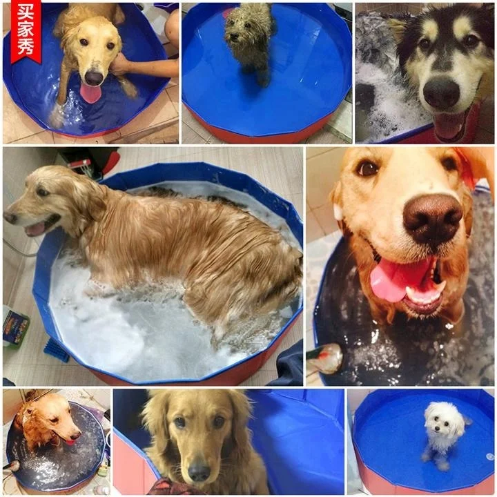 Pvc Collapsible Dog Washing Pool Bathtub For Pet Dog Cat - Buy Dog Pool