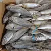 /product-detail/malaysia-market-price-frozen-horse-mackerel-62000071230.html