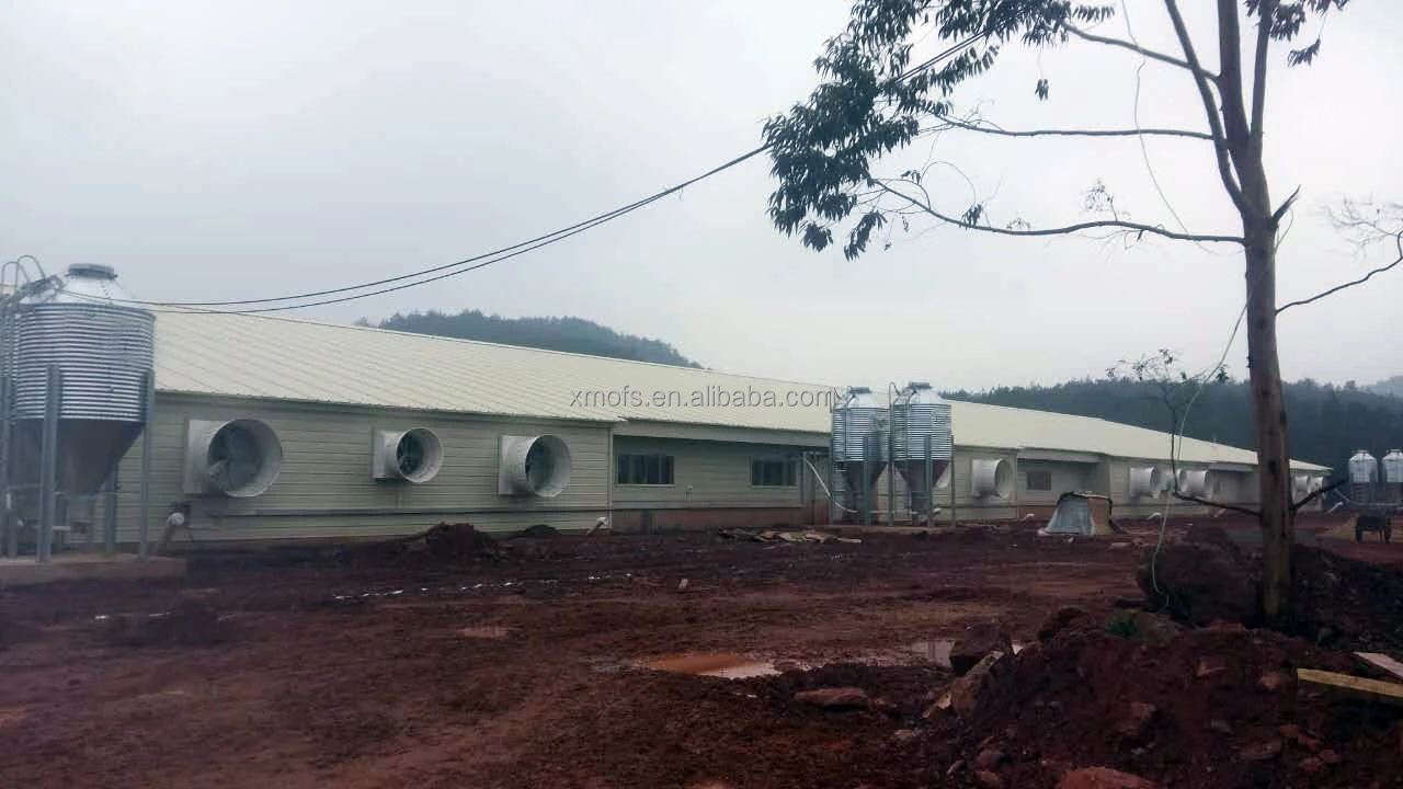 
chicken farming/ chicken farming ventilation system/ 