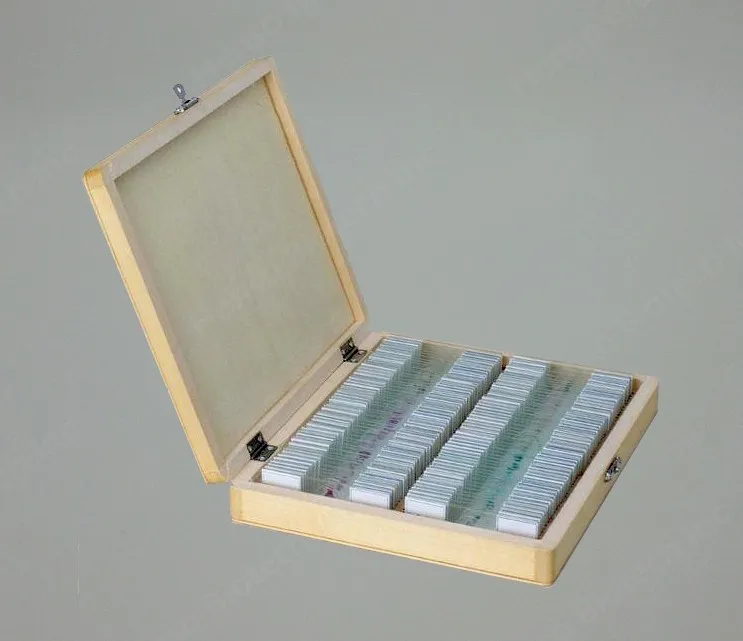 Microscope Glass Slide Storage Wooden Box Buy Glass Slide Storage Box