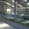 Steel Structure Complete Poultry Farm Shed Design for Pig/Cow/Goat