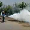 Portable automatic thermal insect control power sprayer agricultural atomizer fogger farm killing mosquito fog machine