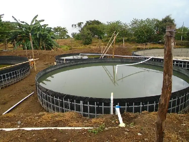 pond liner cover