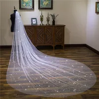 

White Splendid Star Bling Long Lace Bridal Wedding Veil 3m Length Veils Organza Wedding Accessories