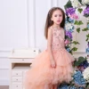 New design wholesale ball gown with applique zipper Skirt length and ground cake dresses