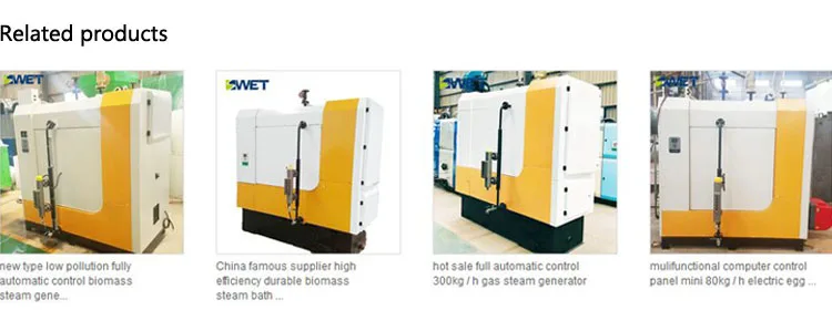 China top ten manufacturer 400kg gas steam boilers for dehydration