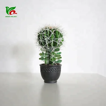 Independent Design 20cm Small Ball Cactus Pattern Office Desk