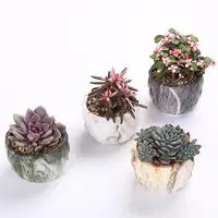 

Wholesale Cute Desktop Decor Mini Ceramic marbling Flower Pot Succulent Plant Pots