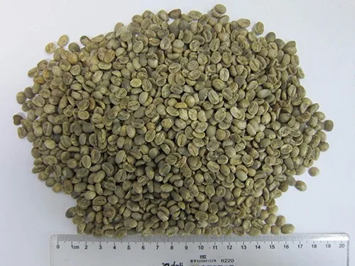 coffee beans mesh 15 up