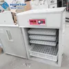 free samples fertilized chicken eggs for wholesales