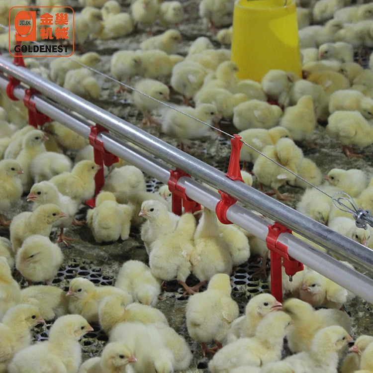 Poultry Feeders And Drinkers