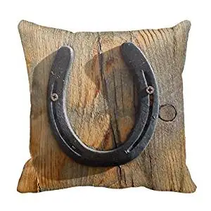 horseshoe pillow case
