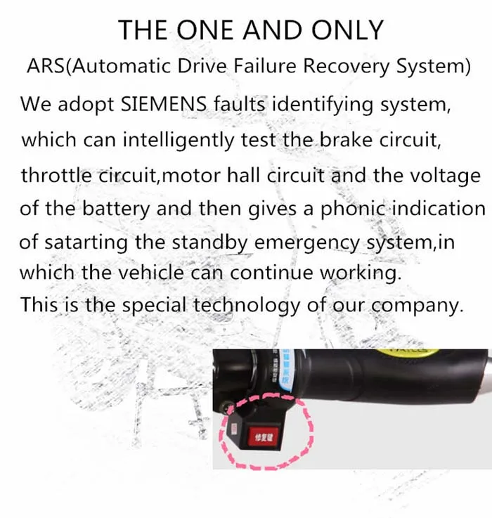 TAILG light and convenient e-bike can carrypeople electric bicycle Lithium Battery Ebike