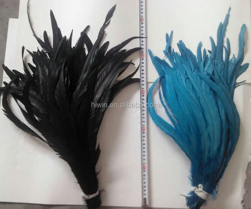 Rooster- Black and Blue.jpg