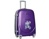 Camera case / trolley bag