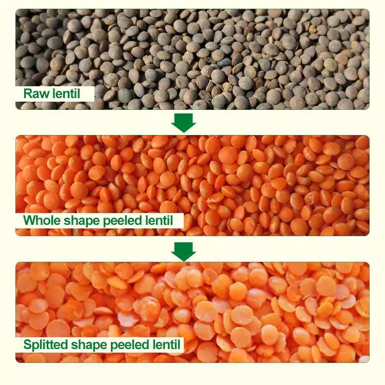 lentil.jpg