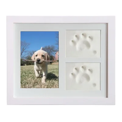 dog frame (1).jpg
