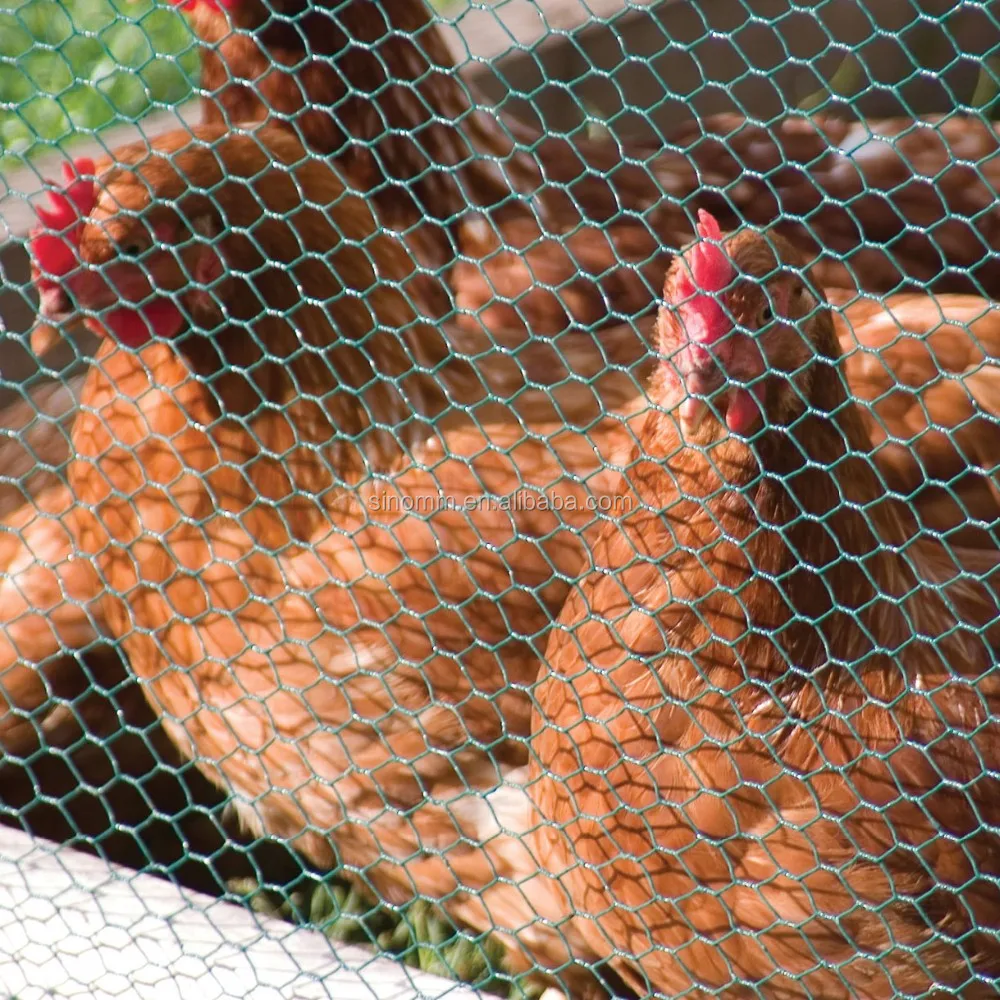 Plastic Chicken Wire Mesh Buy Chicken Wire Mesh,Hexagonal Chicken