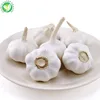 /product-detail/supplier-importer-bulk-new-crop-fresh-chinese-4p-pure-white-garlic-from-china-60734623476.html