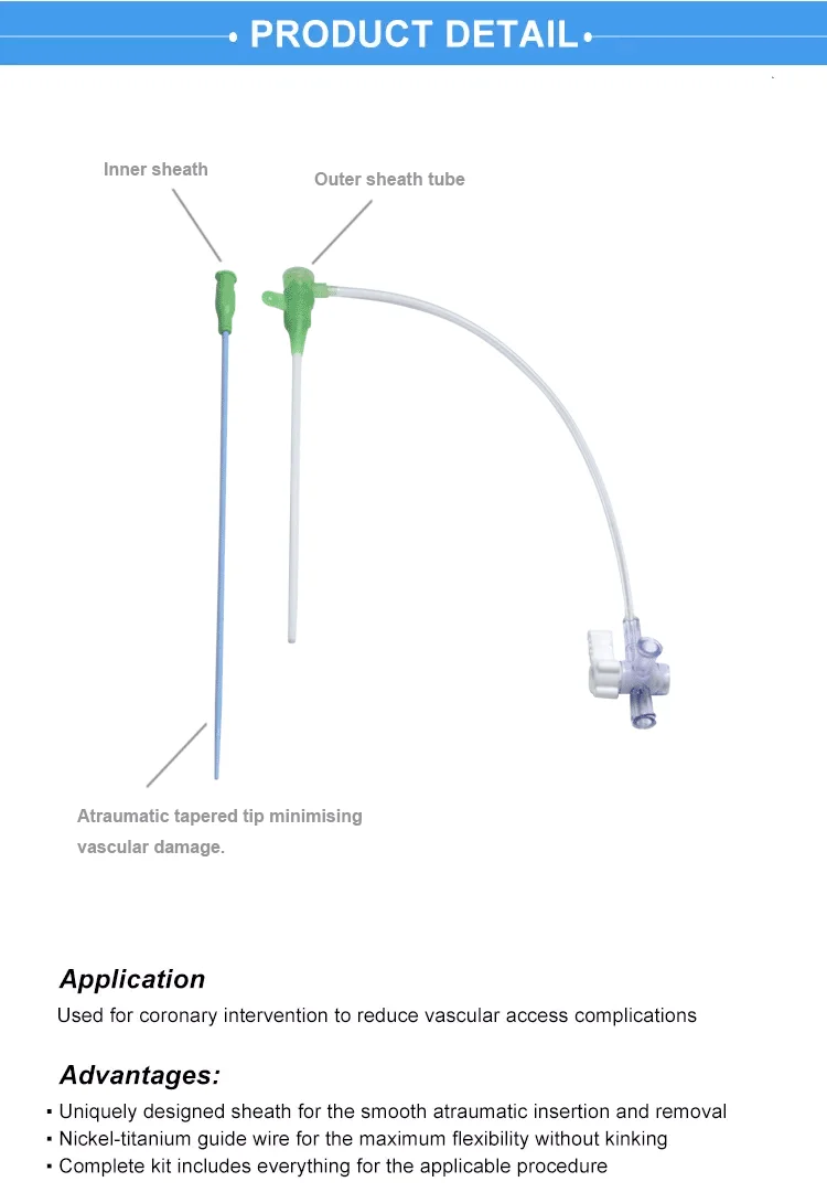 Disposable Femoral Arterial Radial Introducer Sheath 6f - Buy ...