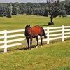 Good Quality Sell Well Pvc Horse Racing Fence