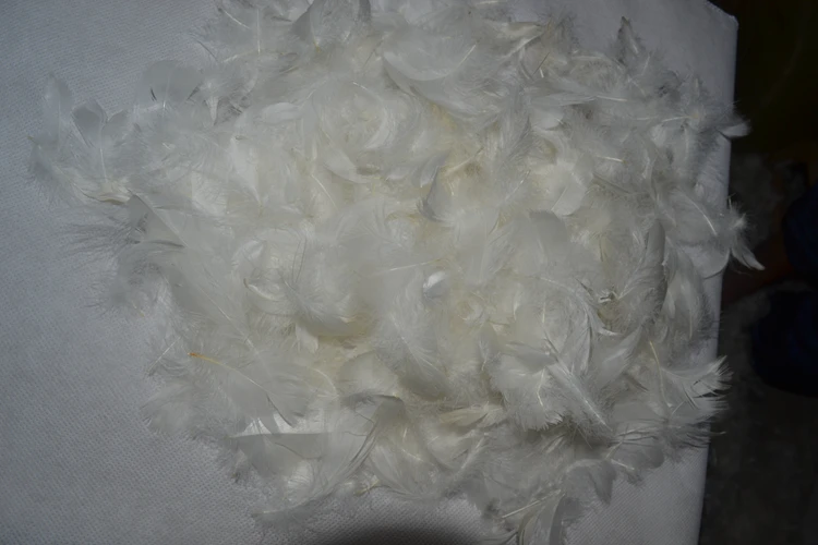 Bulk Goose Feather Filler Goose Down Filler Washed Buy White Goose