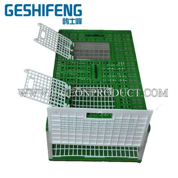 Prix Moins Cher Pliable De Transport En Plastique Cage à Pigeons 6080 Cm Taille Buy Cage Délevage Pour Oiseauxcage De Transport Doiseauxcage De