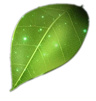 seed paddy cleaning machine