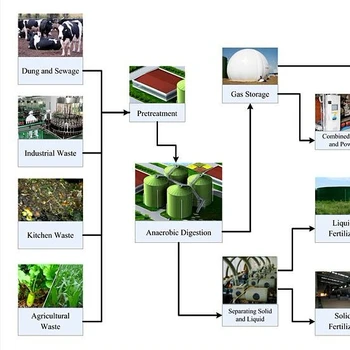 Chicken Manure Treatment With Ad Technology Biogas Plant - Buy Chicken ...