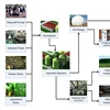 Chicken Manure Treatment with AD Technology Biogas Plant