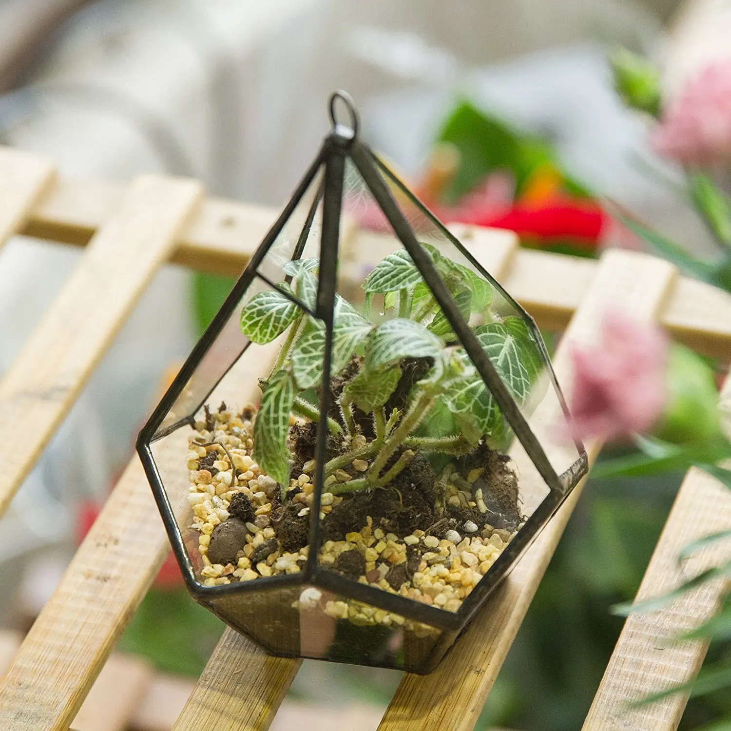 Black Silver Gold Polyhedron Prism Glass Geometric Terrarium Wholesale for Succulent Air Plant Flower Pot Use