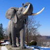 /product-detail/large-size-outdoor-bronze-elephant-sculpture-60774715952.html