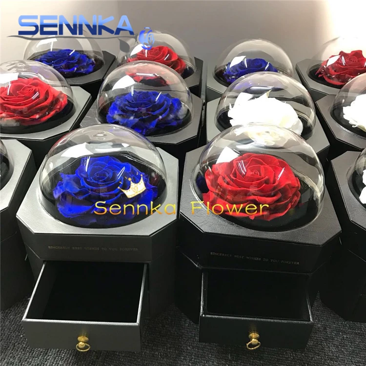 preserved rose 0510 (1)