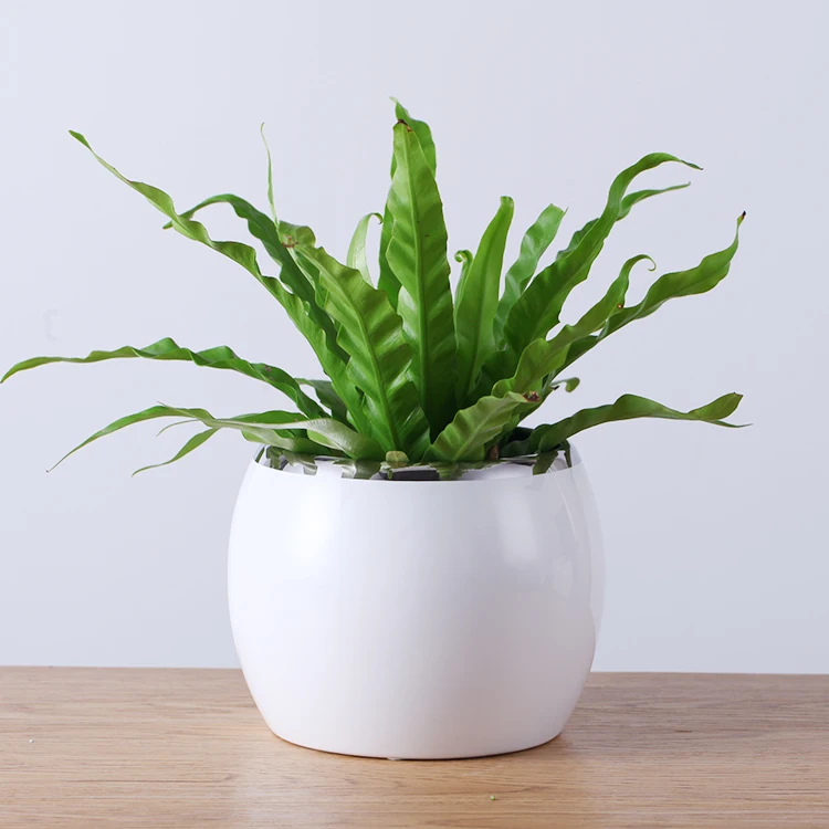 White Silver Glazed Pottery Planter Outdoor Tall Wholesale Planters And