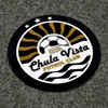 Wholesale Custom Heat Transfer Printing 3D Colorful Sport Club Logo Flocking Patches