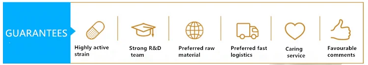 Guarantees.png