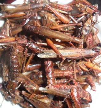 Pet Food Supplies Animal Feed Dried Grasshopper Buy Pet Food