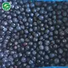 Hot Selling All Normal Sizes best price china frozen wild blueberry for hot sale