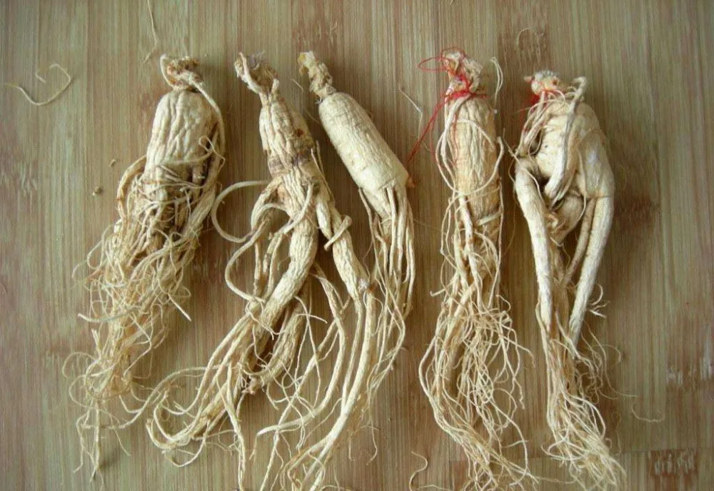 natural organic ginseng root extract/panax ginseng extract
