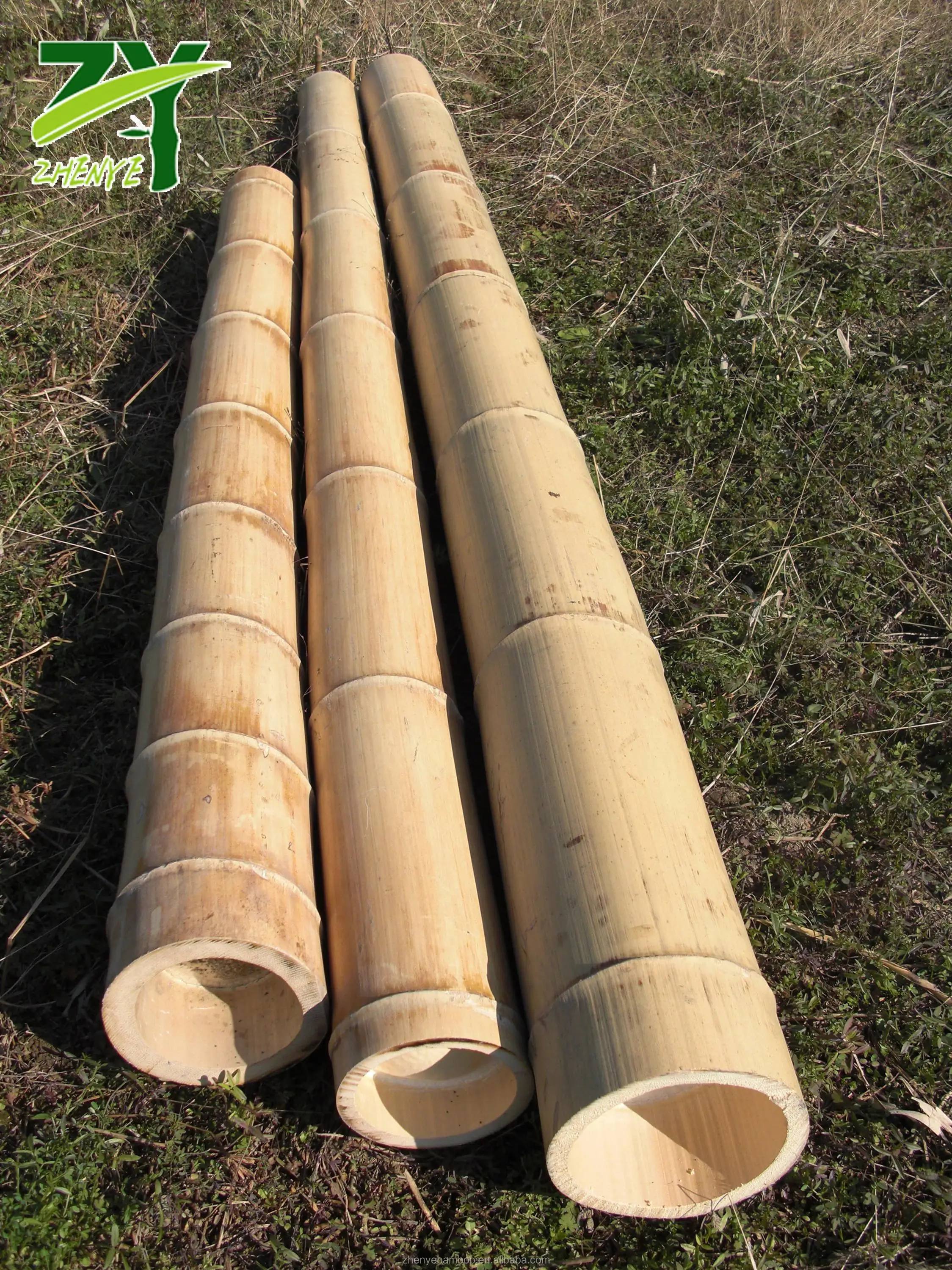struik syndroom Oost Timor Zy-1001 Chinese Goedkope Fabriek Prijs Bamboestokken Voor Tuin,Bouw En  Decoratie! - Buy Bamboe Pole,Bamboe Stok,Bamboe Stake Product on Alibaba.com