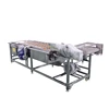 Automatic fruit vegetable sugarcane washing machine