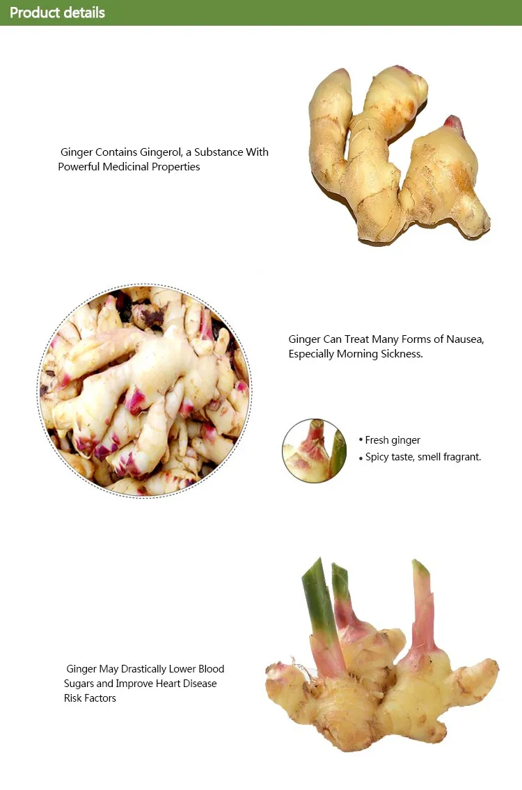 China Export Price 1kg China Mature Fresh Ginger