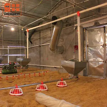 Automatic Broiler Feeding Equipment Metering Cylinder Feeder Buy