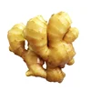 Big fat fresh 30lbs ginger to usa