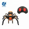 Bemay Toy Radio Control Infrared Toys Plastic Animal RC Spider For Selling